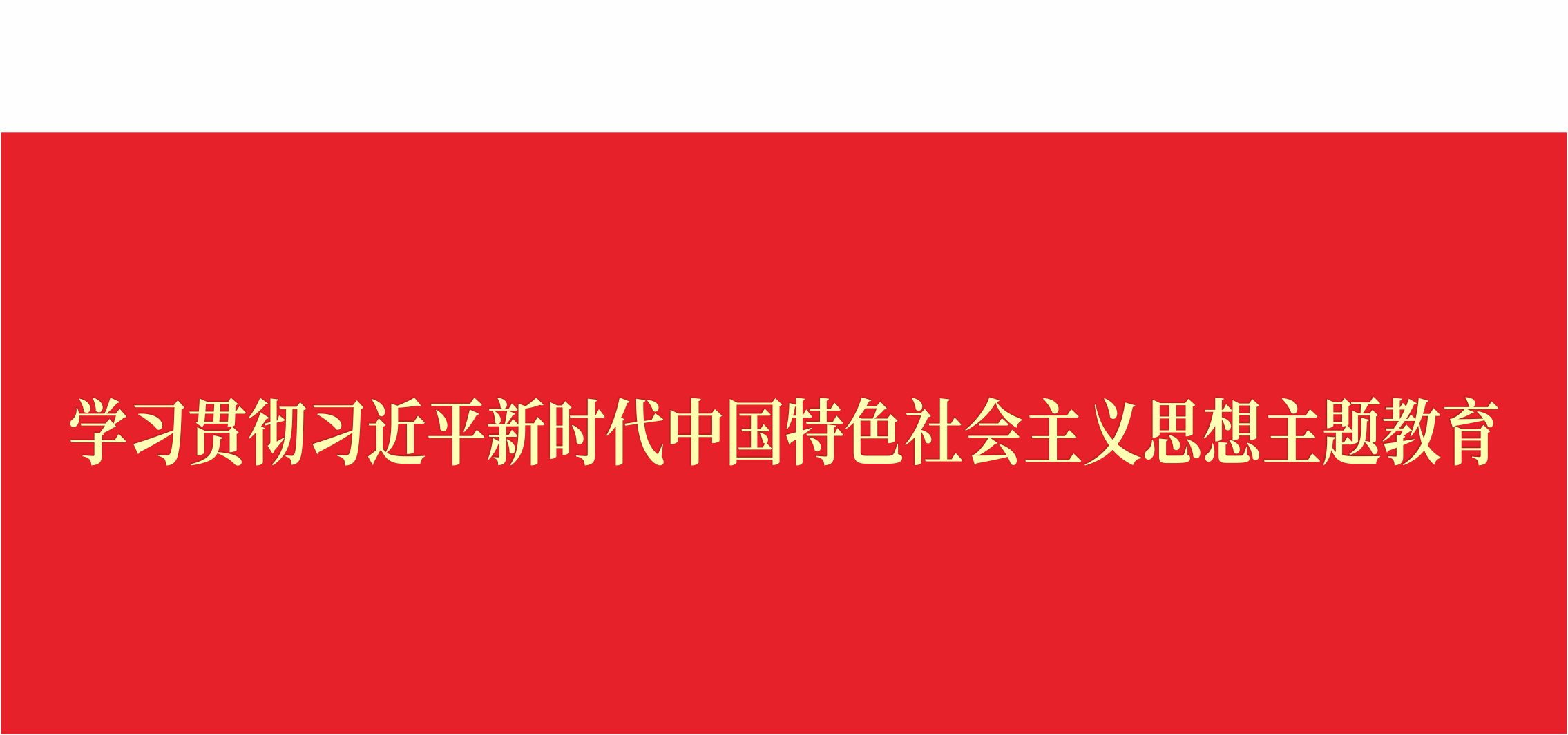 學(xué)習(xí)貫徹習(xí)近平新時(shí)代中國特色社會(huì)主義思想主題教育